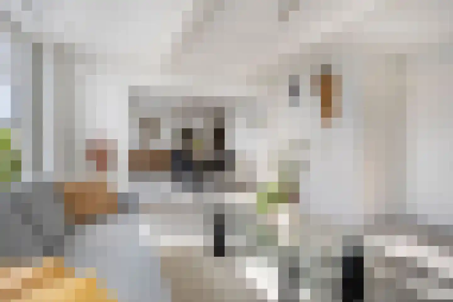 Hendrik Westerstraat 16 Ten Boer thumbnail 12