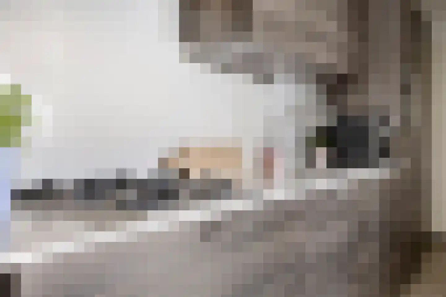 Hendrik Westerstraat 16 Ten Boer thumbnail 20