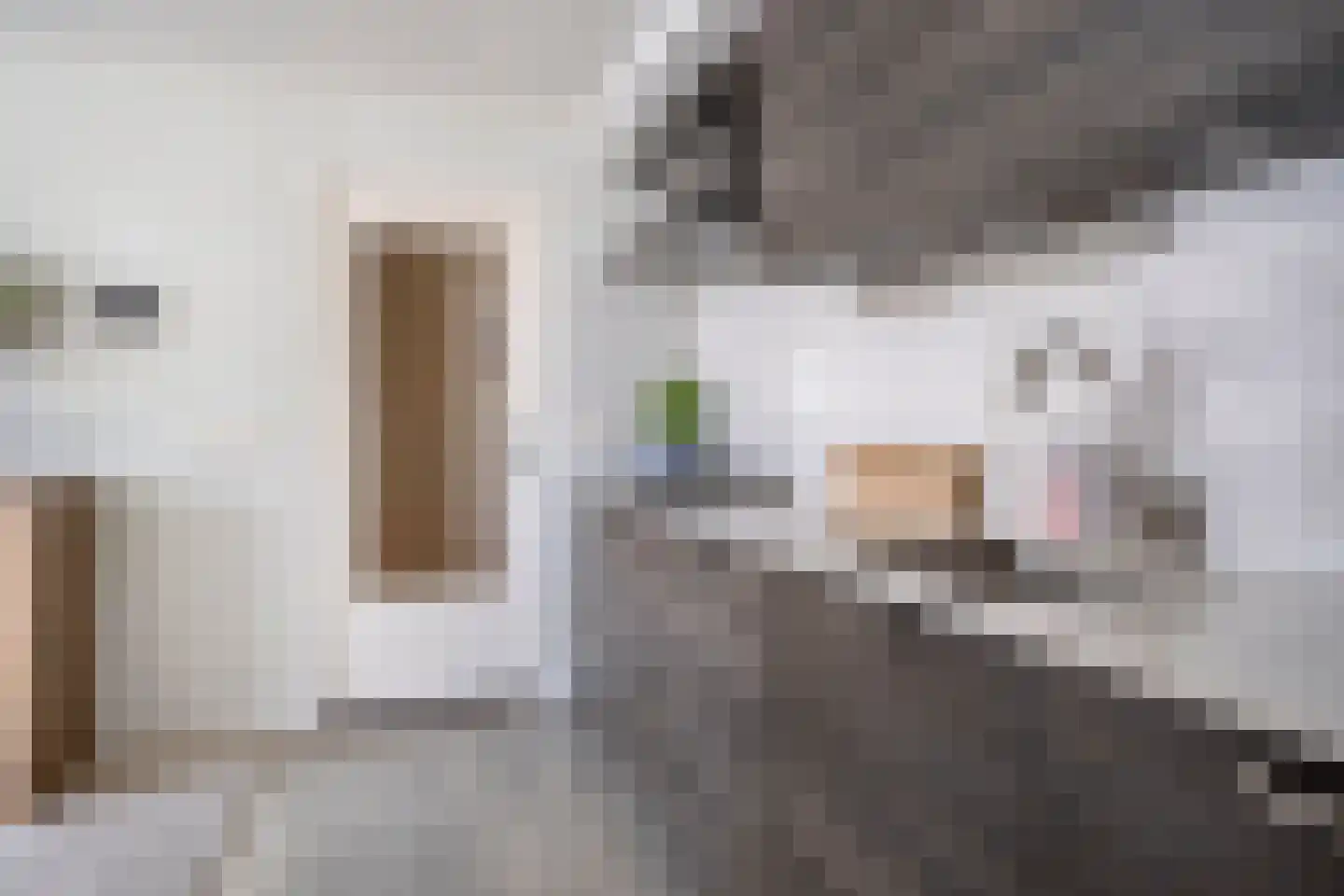 Hendrik Westerstraat 16 Ten Boer thumbnail 22