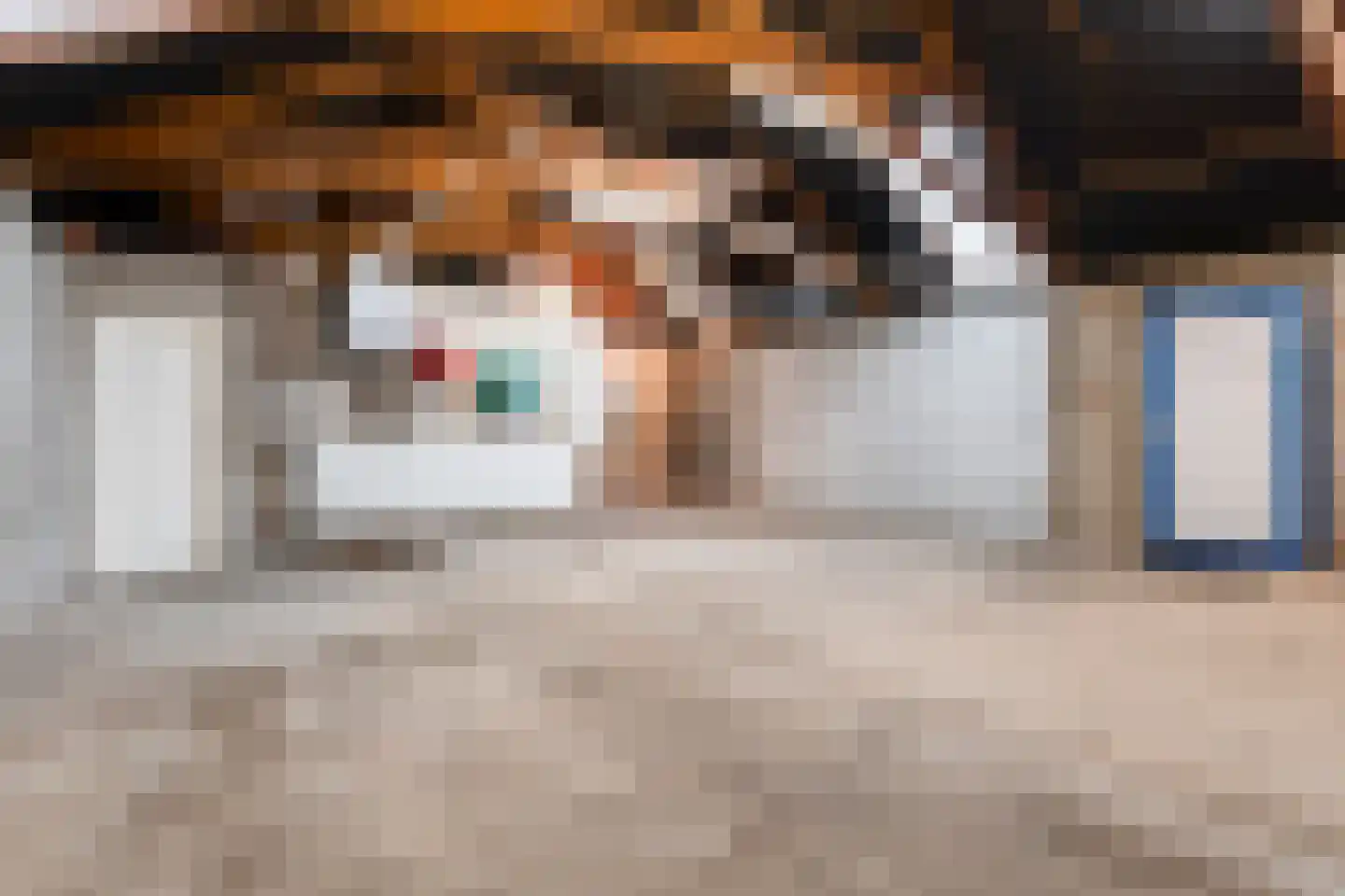 Hendrik Westerstraat 16 Ten Boer thumbnail 5