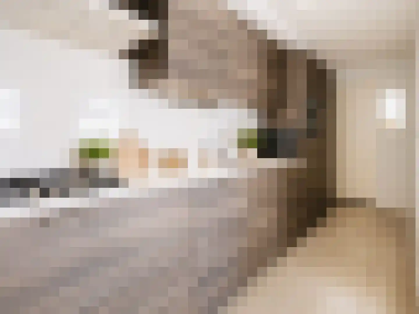 Hendrik Westerstraat 16 Ten Boer thumbnail 5