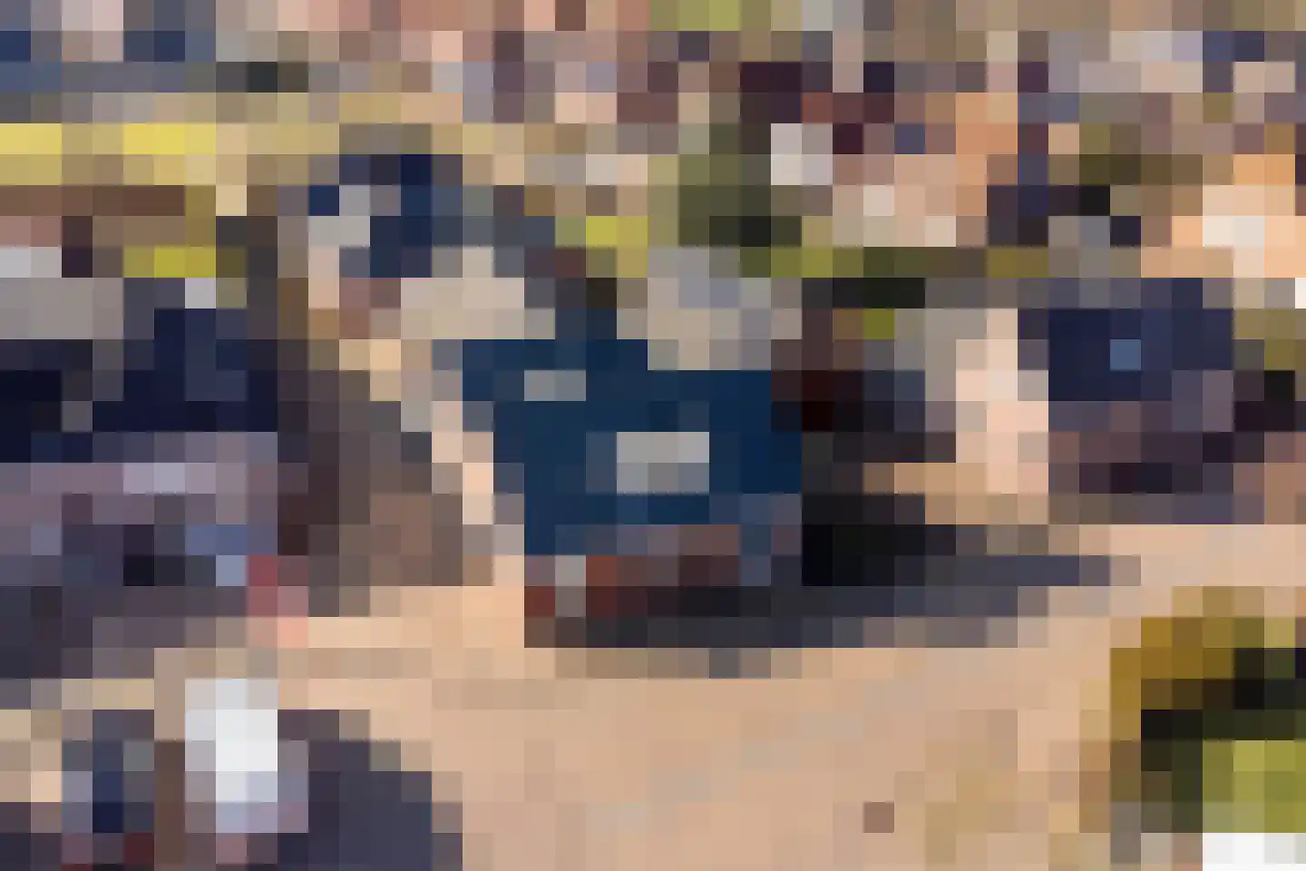 Hendrik Westerstraat 16 Ten Boer thumbnail 8
