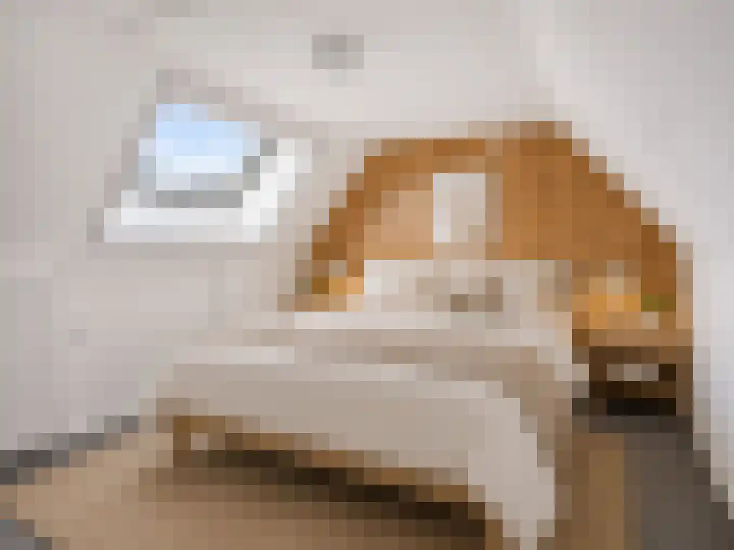 Hendrik Westerstraat 16 Ten Boer thumbnail 9