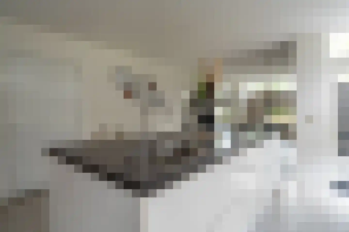 Hendrik Westerstraat 2 Oude Pekela thumbnail 13