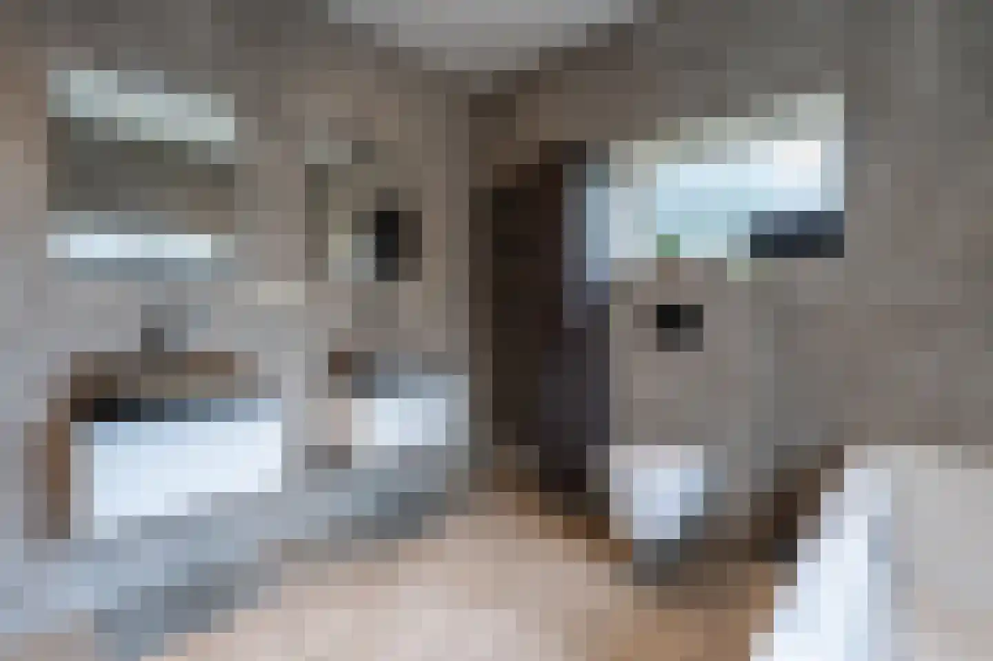 Hendrik Westerstraat 2 Oude Pekela thumbnail 17