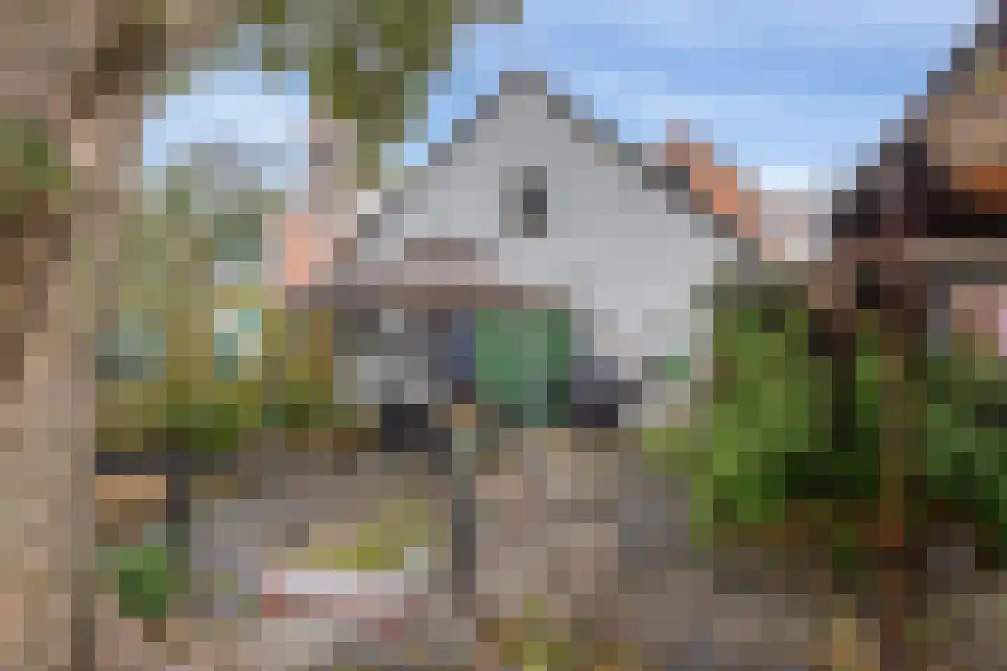 Hendrik Westerstraat 238 Oude Pekela thumbnail 46