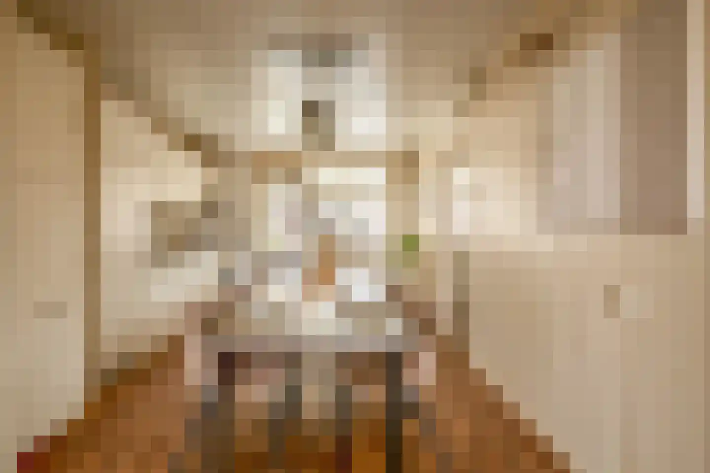 Hendrik Westerstraat 45 Oude Pekela thumbnail 17