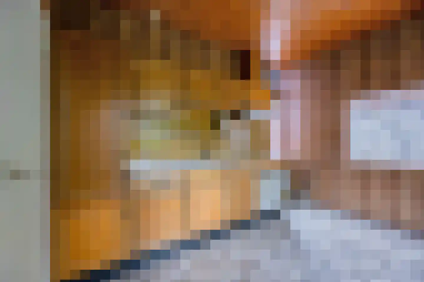 Hendrik Westerstraat 76 Oude Pekela thumbnail 16