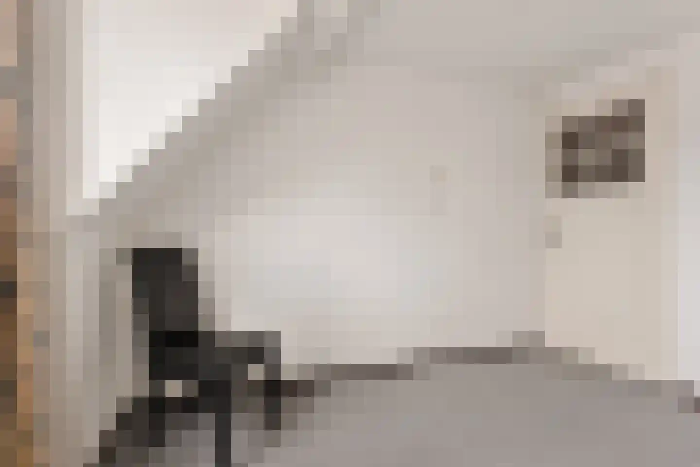 Hendrik Westerstraat 99 Oude Pekela thumbnail 29