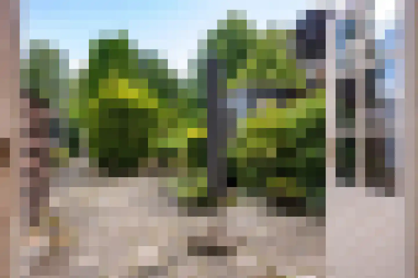 Hendrik Westerstraat 99 Oude Pekela thumbnail 38