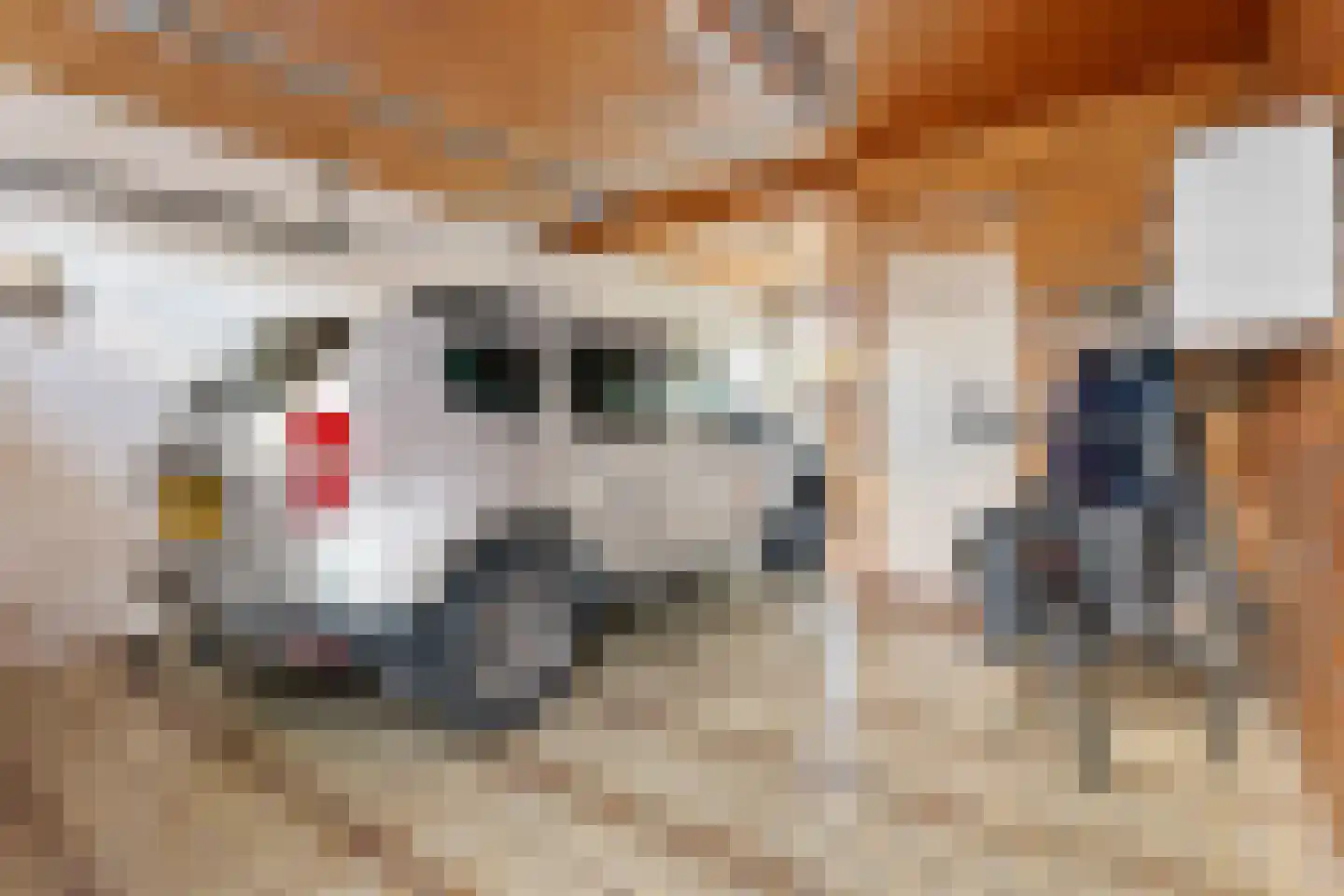 Hendrik Westerstraat 99 Oude Pekela thumbnail 8