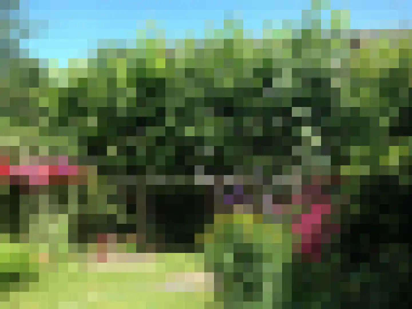Hendrik Wiegersmalaan 60 Rosmalen thumbnail 26