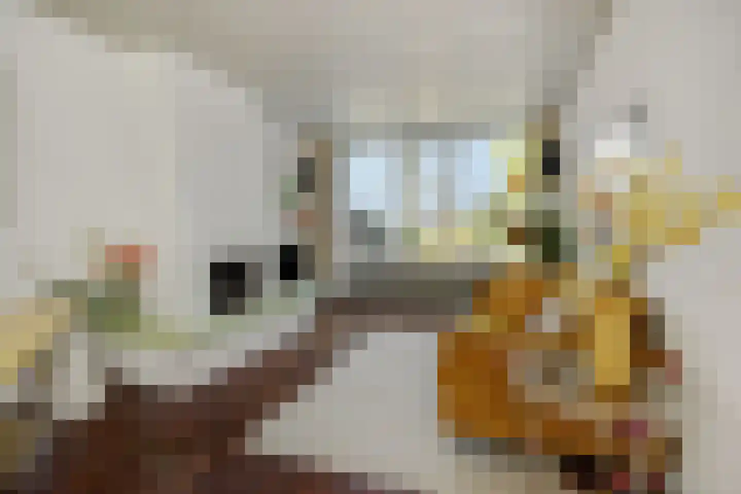 Hendrik Wiegersmalaan 60 Rosmalen thumbnail 4