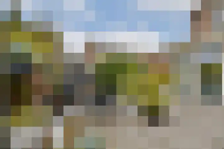 Hendrik Wielengastraat 11 Schiedam thumbnail 10