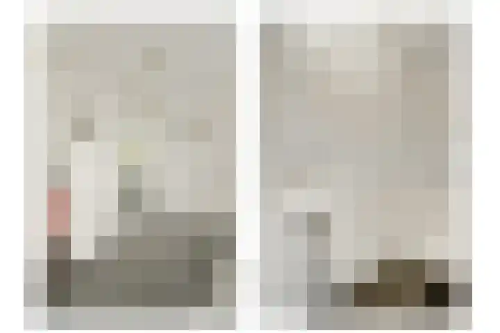 Hendrik Wielengastraat 11 Schiedam thumbnail 13