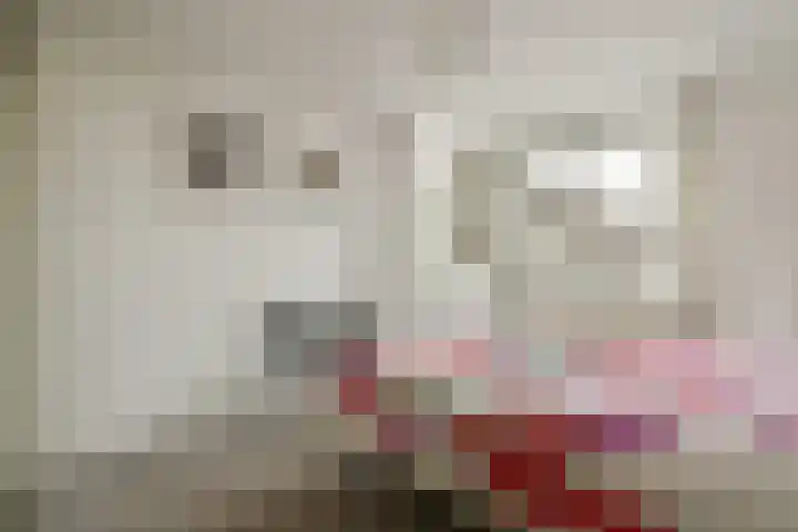 Hendrik Wielengastraat 11 Schiedam thumbnail 14