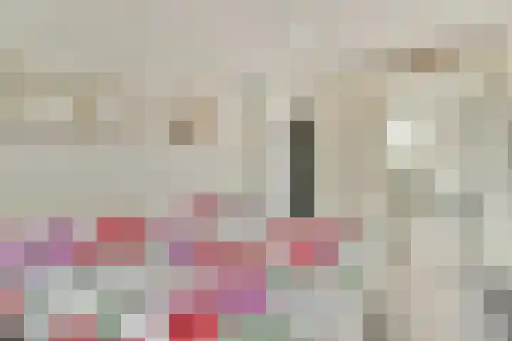 Hendrik Wielengastraat 11 Schiedam thumbnail 15