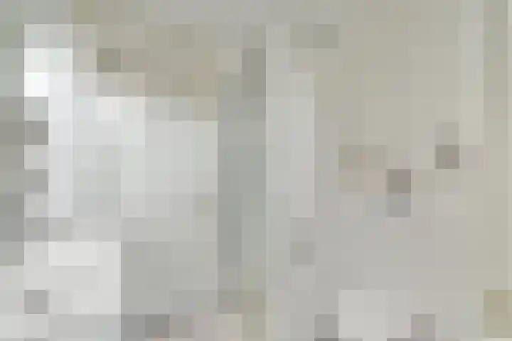 Hendrik Wielengastraat 11 Schiedam thumbnail 17