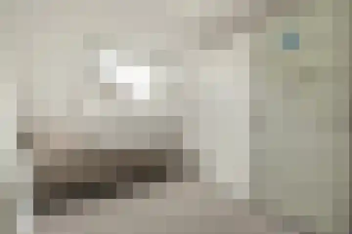 Hendrik Wielengastraat 11 Schiedam thumbnail 18