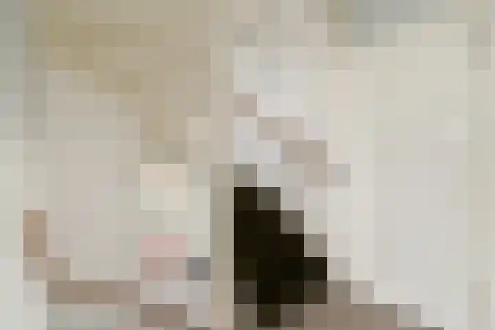Hendrik Wielengastraat 11 Schiedam thumbnail 22