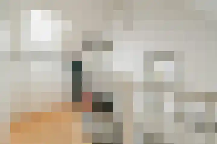 Hendrik Wielengastraat 11 Schiedam thumbnail 23