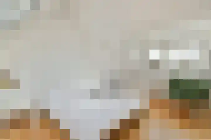 Hendrik Wielengastraat 11 Schiedam thumbnail 24