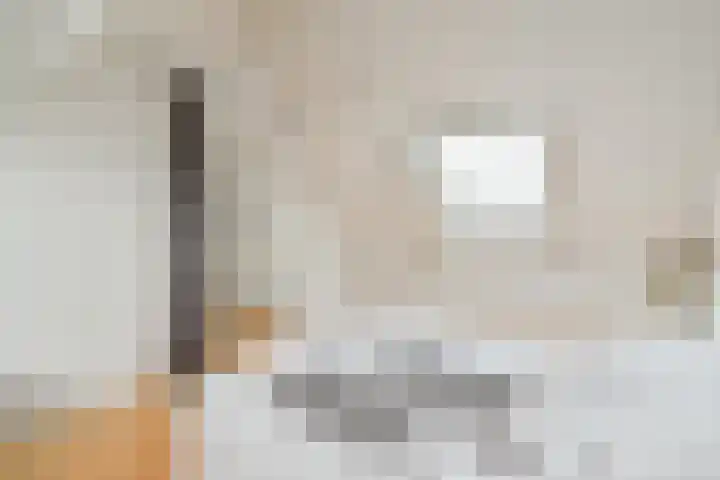 Hendrik Wielengastraat 11 Schiedam thumbnail 25