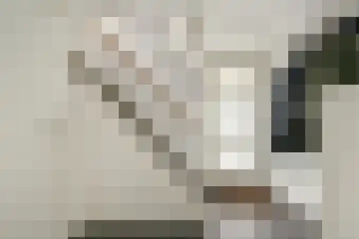 Hendrik Wielengastraat 11 Schiedam thumbnail 26