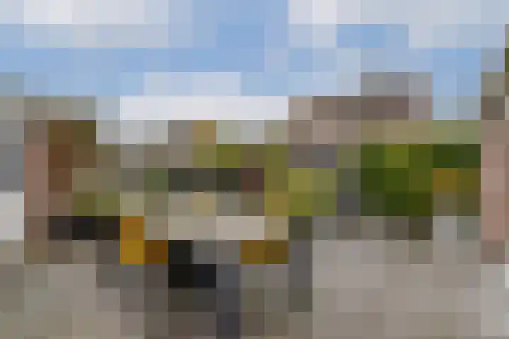 Hendrik Wielengastraat 11 Schiedam thumbnail 4