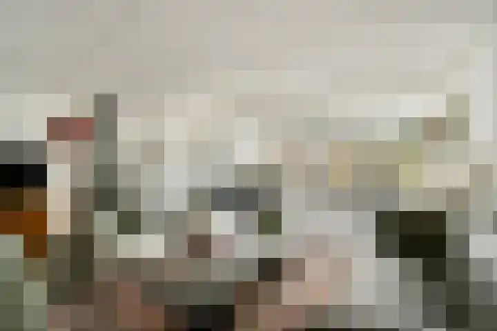 Hendrik Wielengastraat 11 Schiedam thumbnail 5