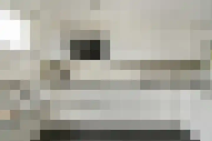 Hendrik Wielengastraat 11 Schiedam thumbnail 9