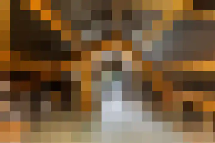 Hendrik Willem Mesdagstraat 10 Apeldoorn thumbnail 38