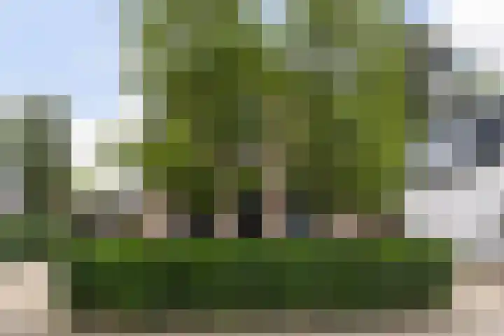 Hendrik Willem Mesdagstraat 10 Apeldoorn thumbnail 46