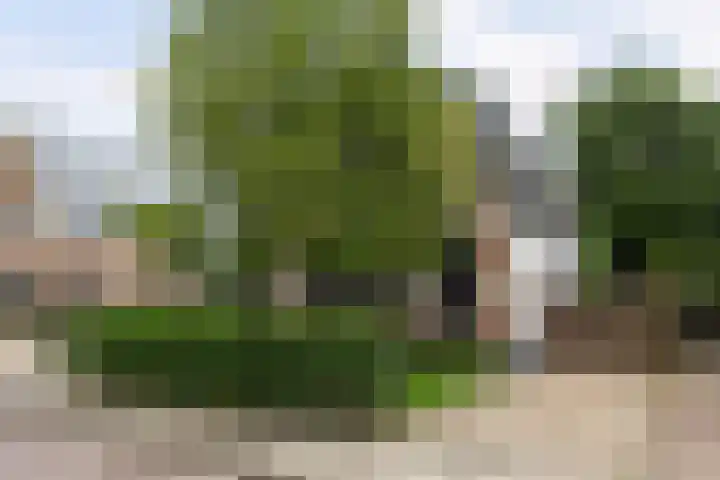 Hendrik Willem Mesdagstraat 10 Apeldoorn thumbnail 47