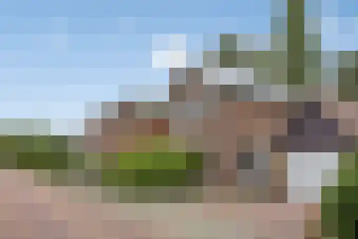 Hendrik Willem Mesdagstraat 2 Apeldoorn thumbnail 24