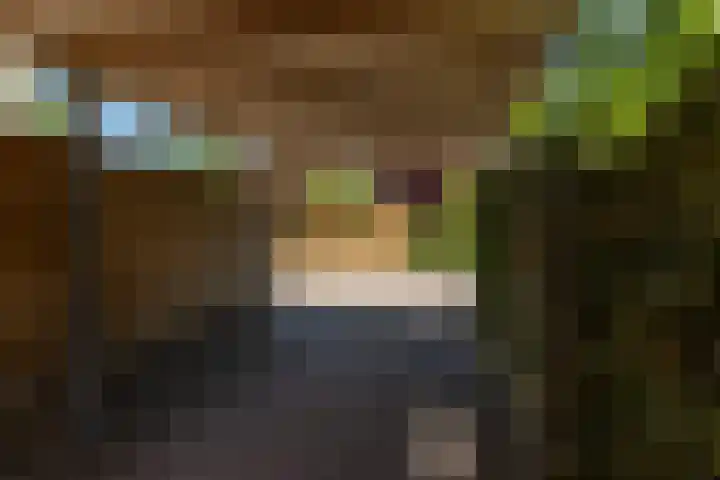 Hendrik Willem Mesdagstraat 49 Apeldoorn thumbnail 32