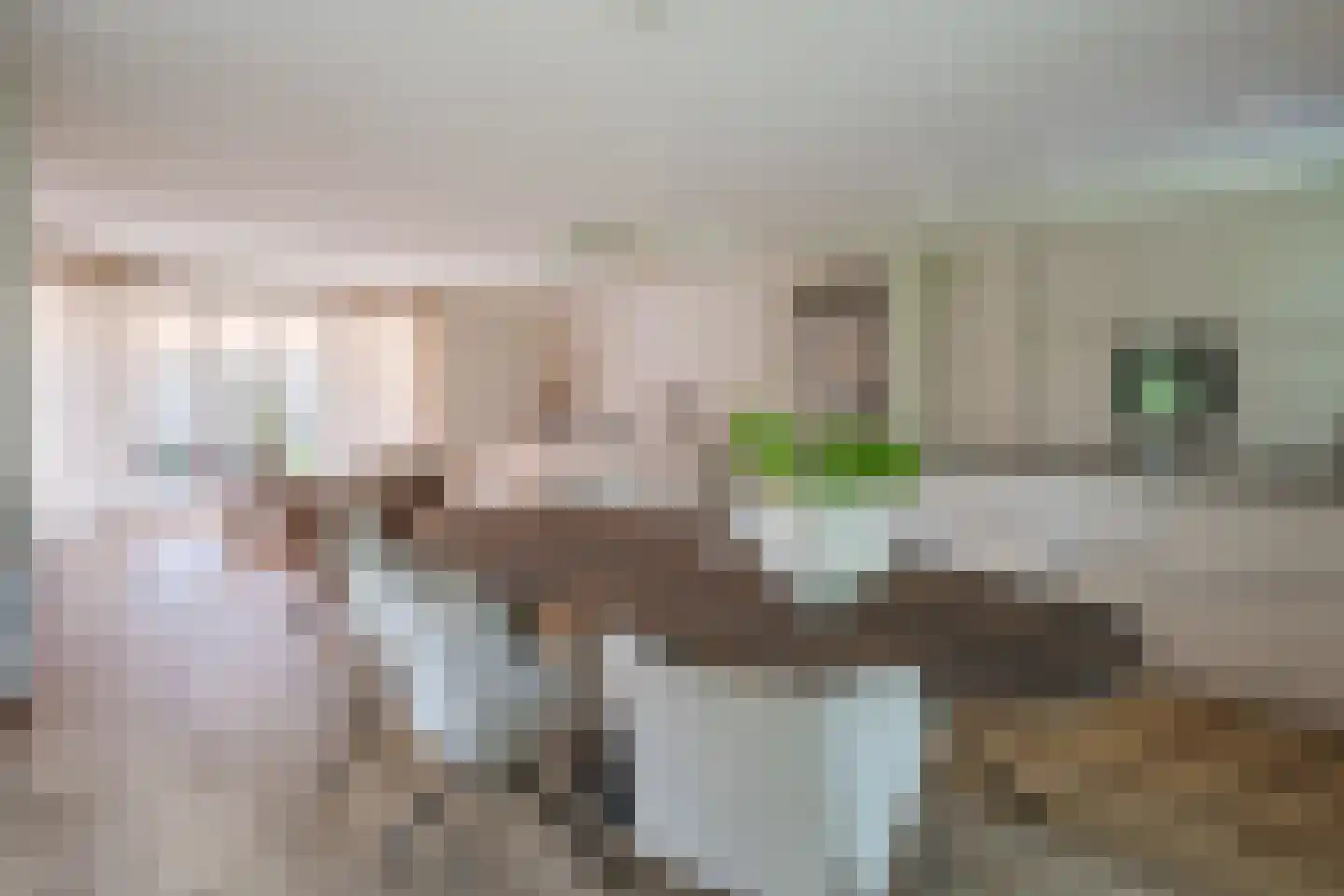 Hendrik Wilslaan 4 Luyksgestel thumbnail 12