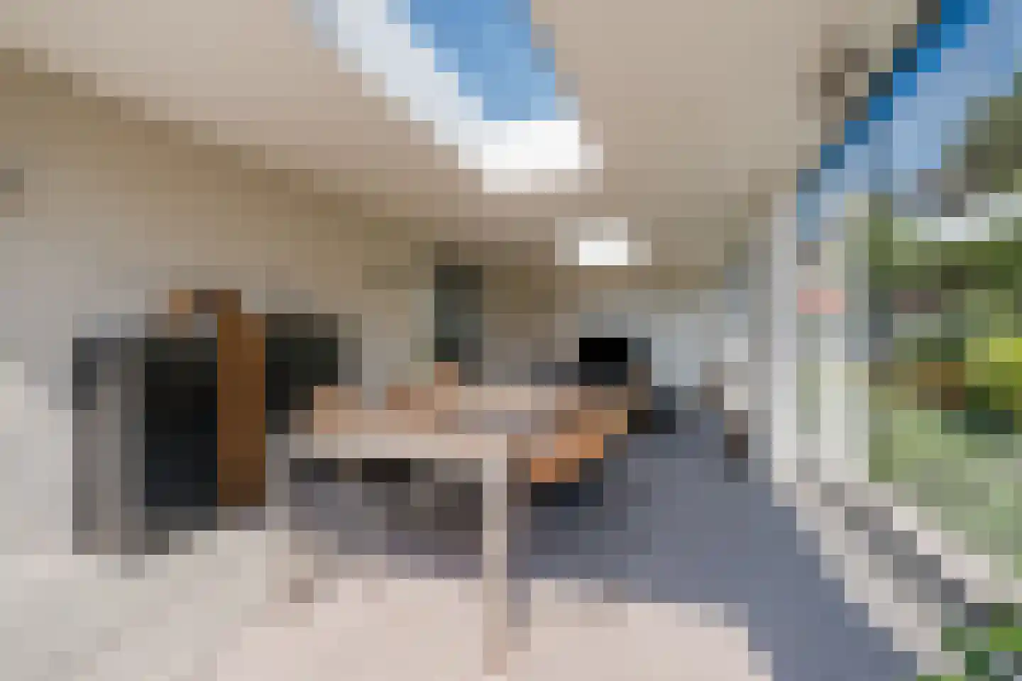 Hendrik Wilslaan 4 Luyksgestel thumbnail 18