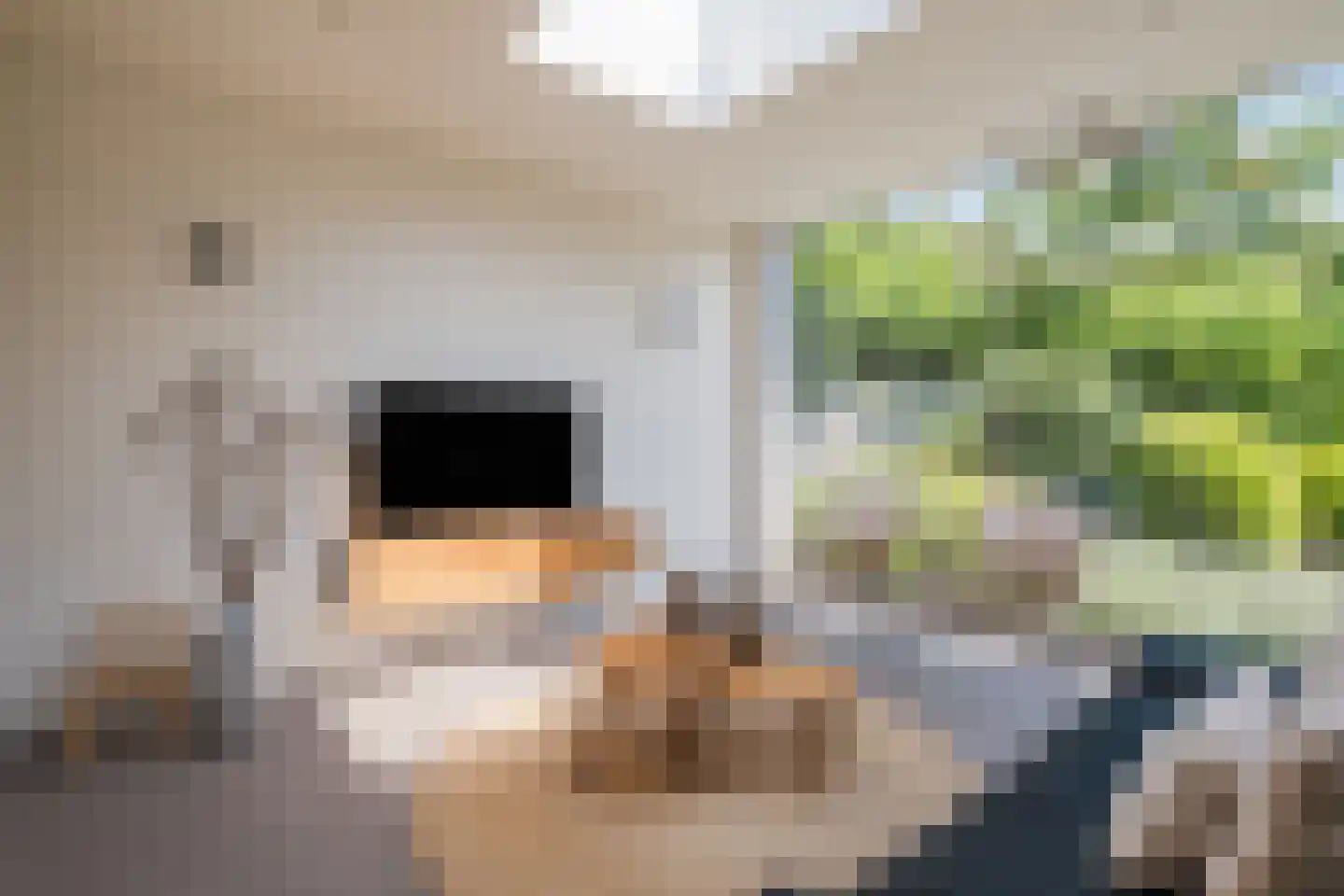 Hendrik Wilslaan 4 Luyksgestel thumbnail 22