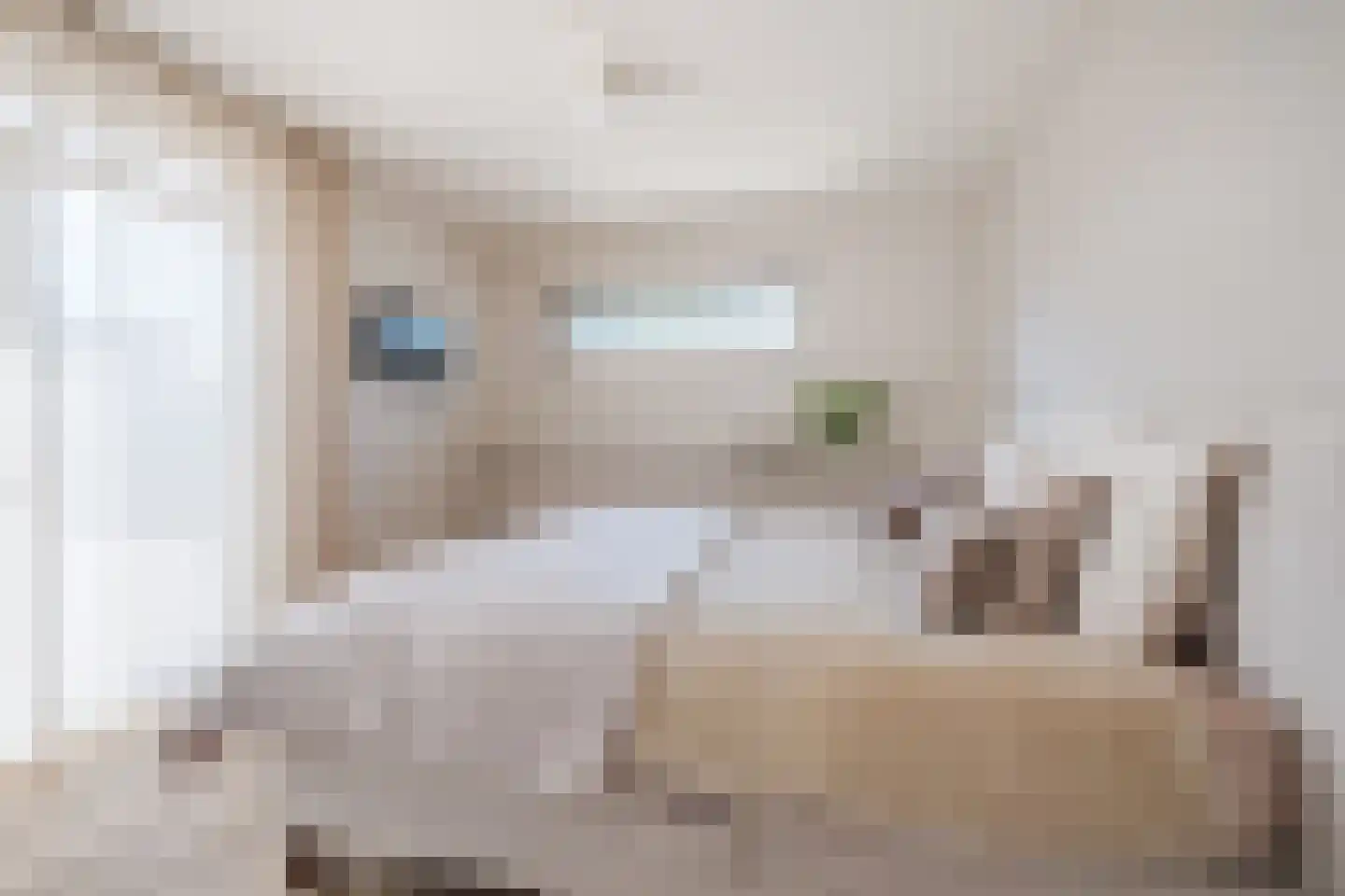 Hendrik Wilslaan 4 Luyksgestel thumbnail 24