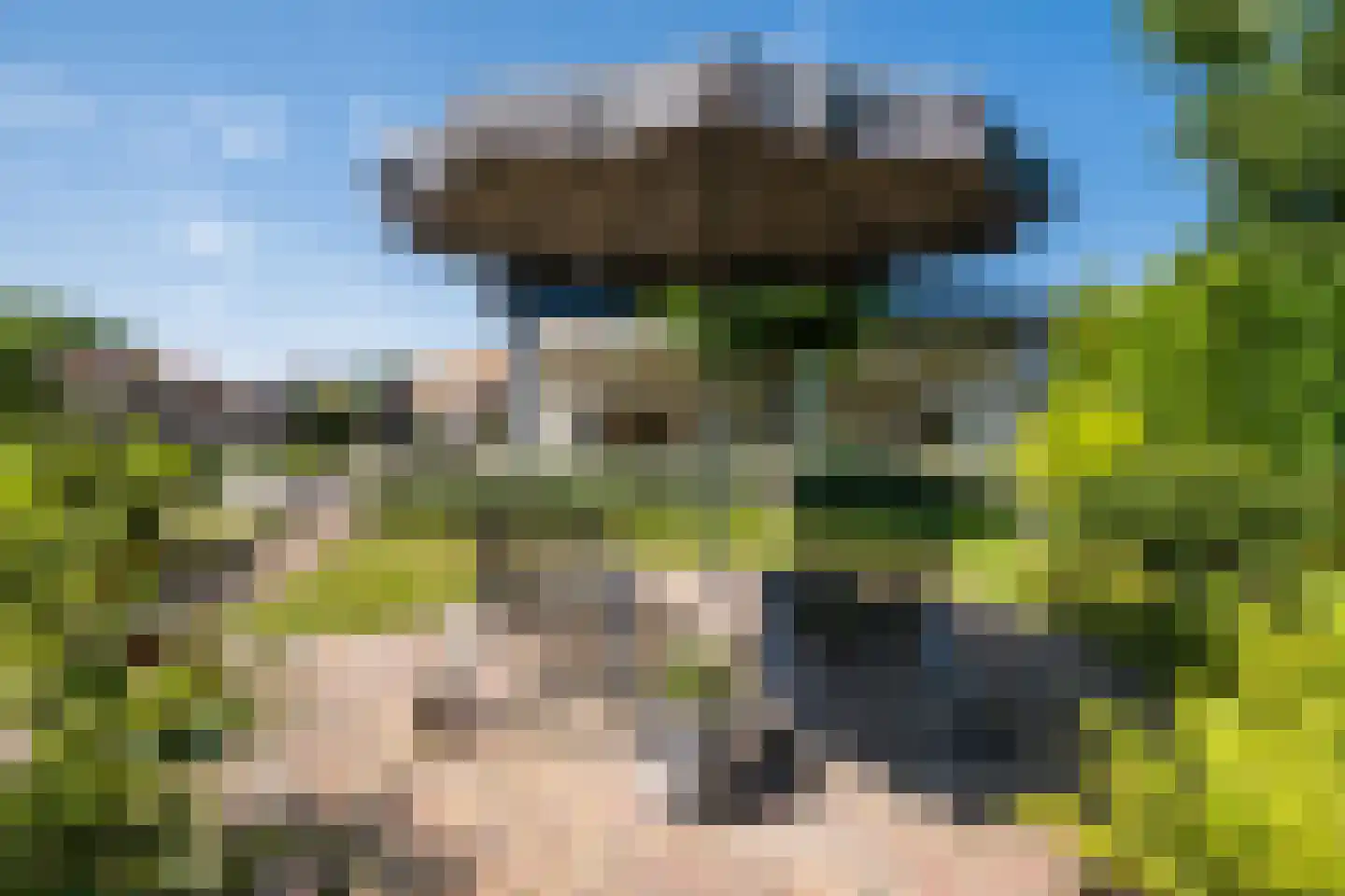 Hendrik Wilslaan 4 Luyksgestel thumbnail 45