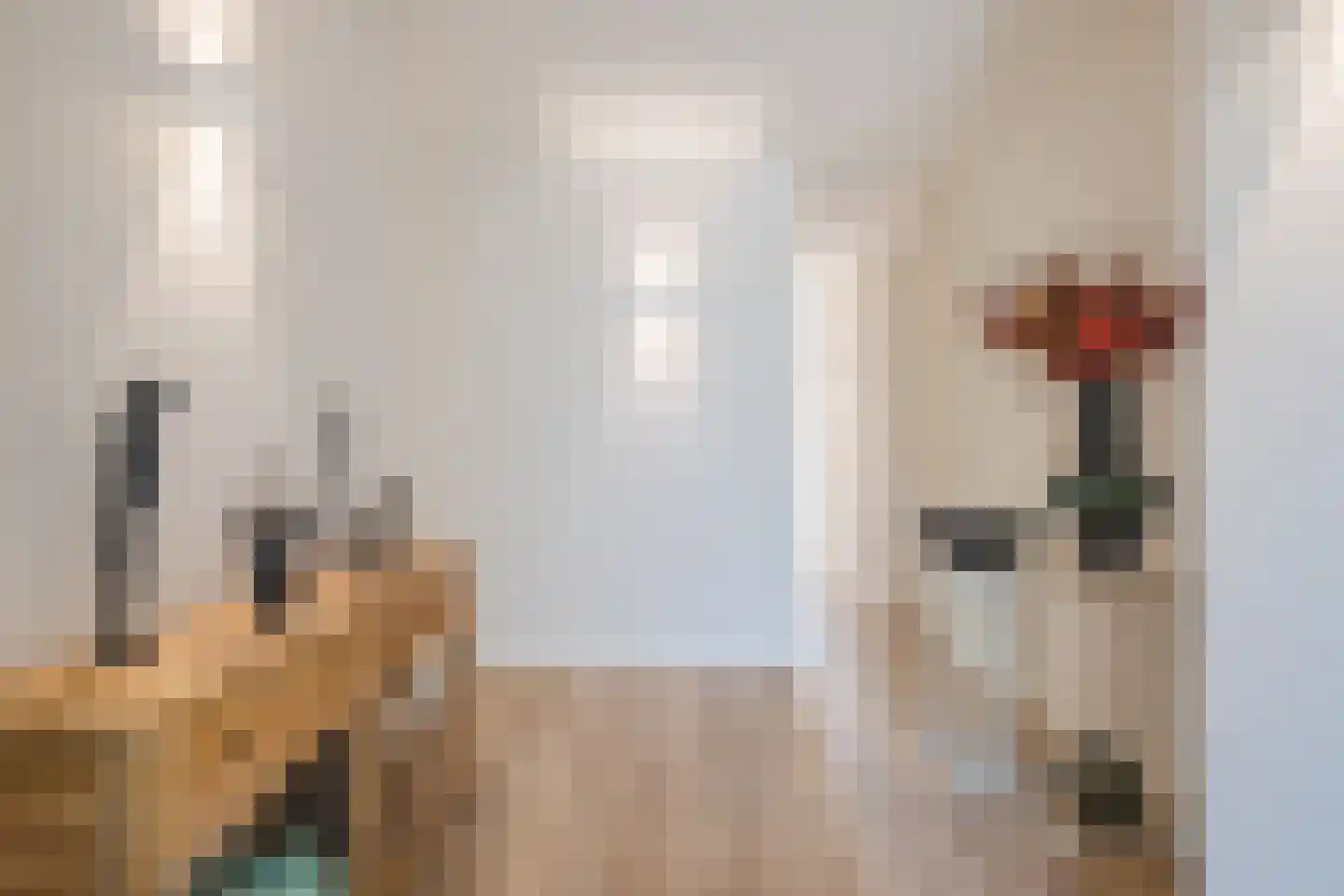 Hendrik Wilslaan 4 Luyksgestel thumbnail 7