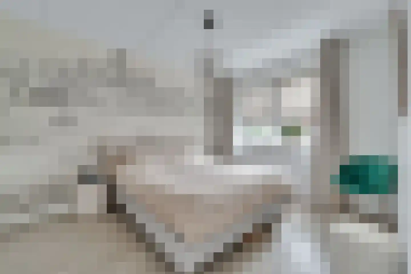 Hendrik Wormserplein 8 Nijverdal thumbnail 12