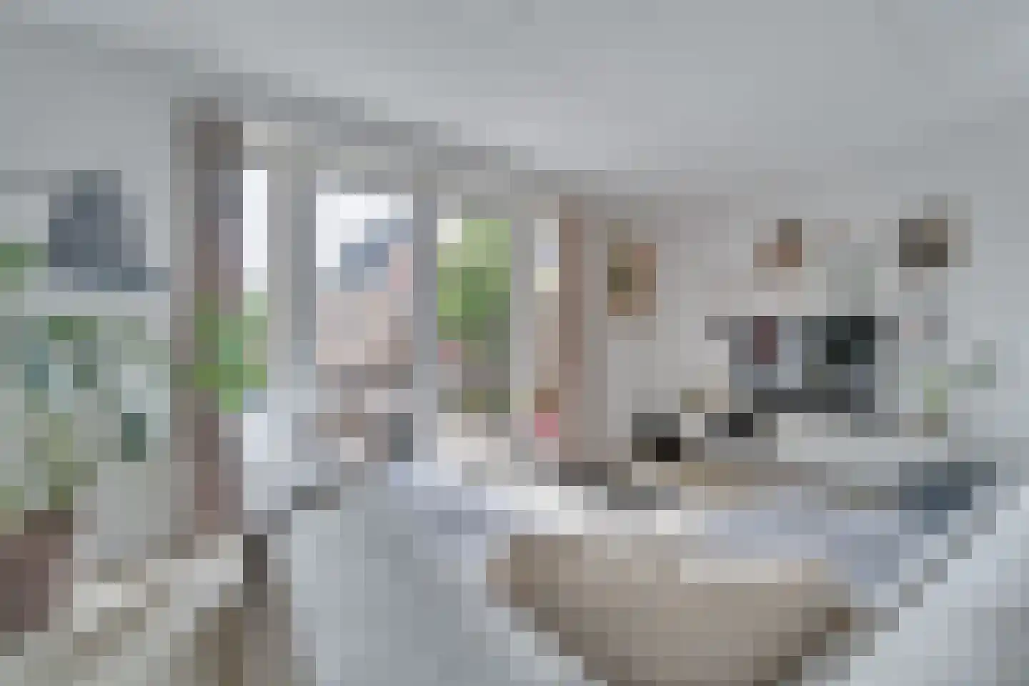 Hendrik Wormserplein 8 Nijverdal thumbnail 5