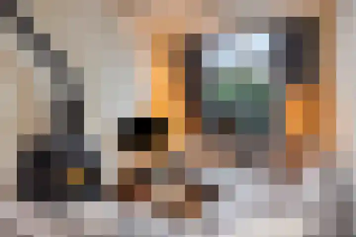 Hendrik Wormserstraat 7 Nijverdal thumbnail 7