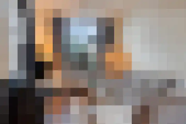 Hendrik Wormserstraat 7 Nijverdal thumbnail 8