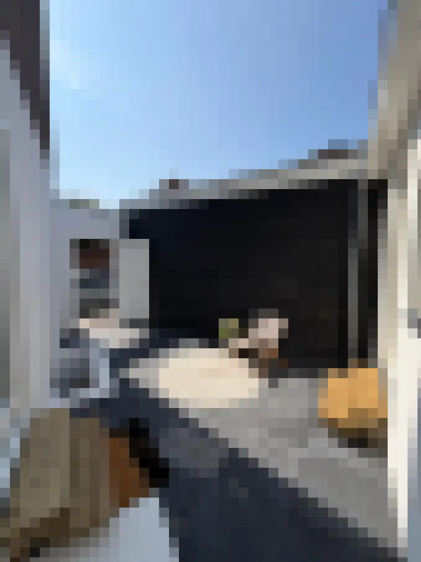 Hendrik Zwaardecroonstraat 116 B Den Haag thumbnail 12