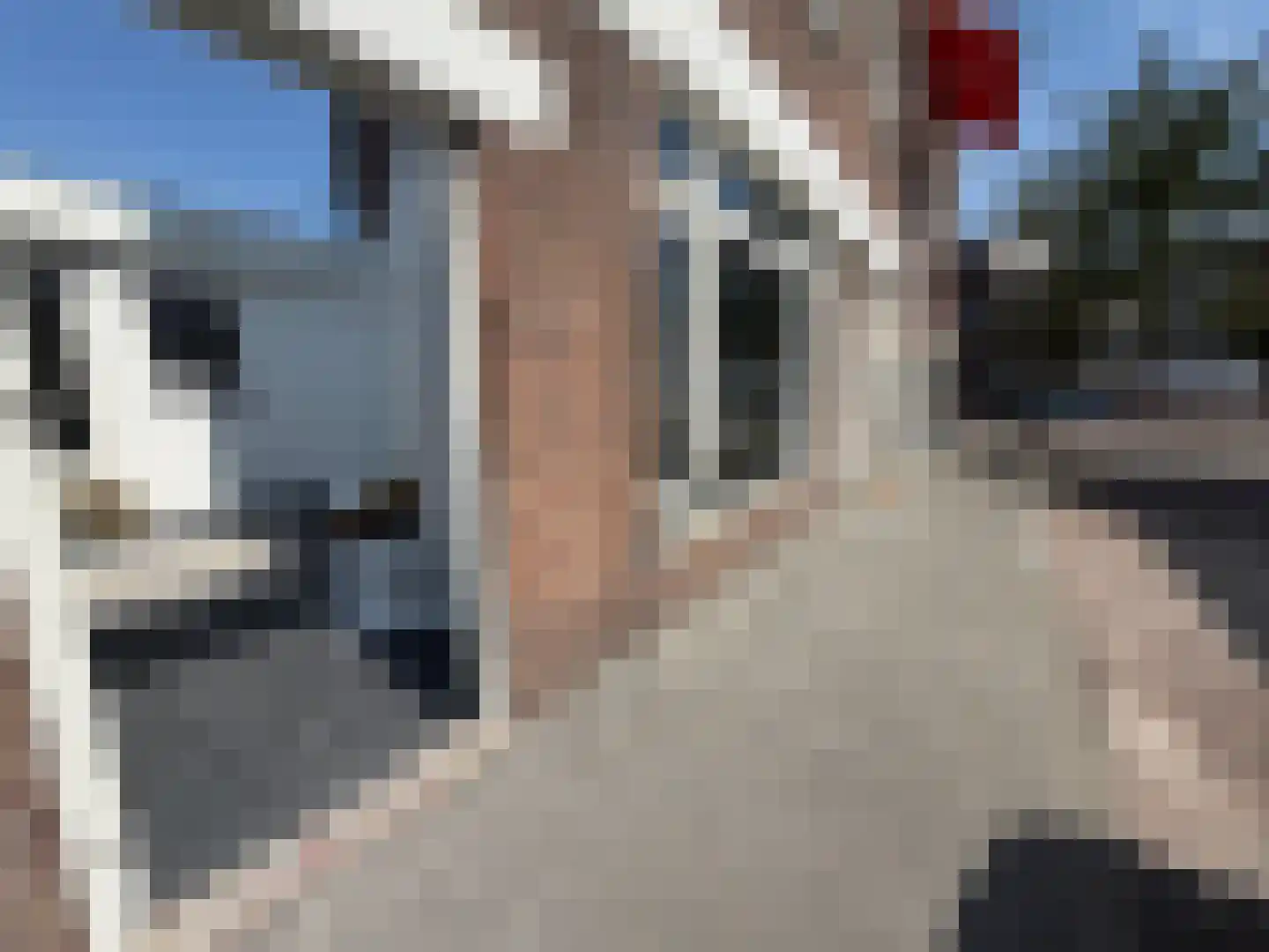 Hendrik Zwaardecroonstraat 116 B Den Haag thumbnail 14