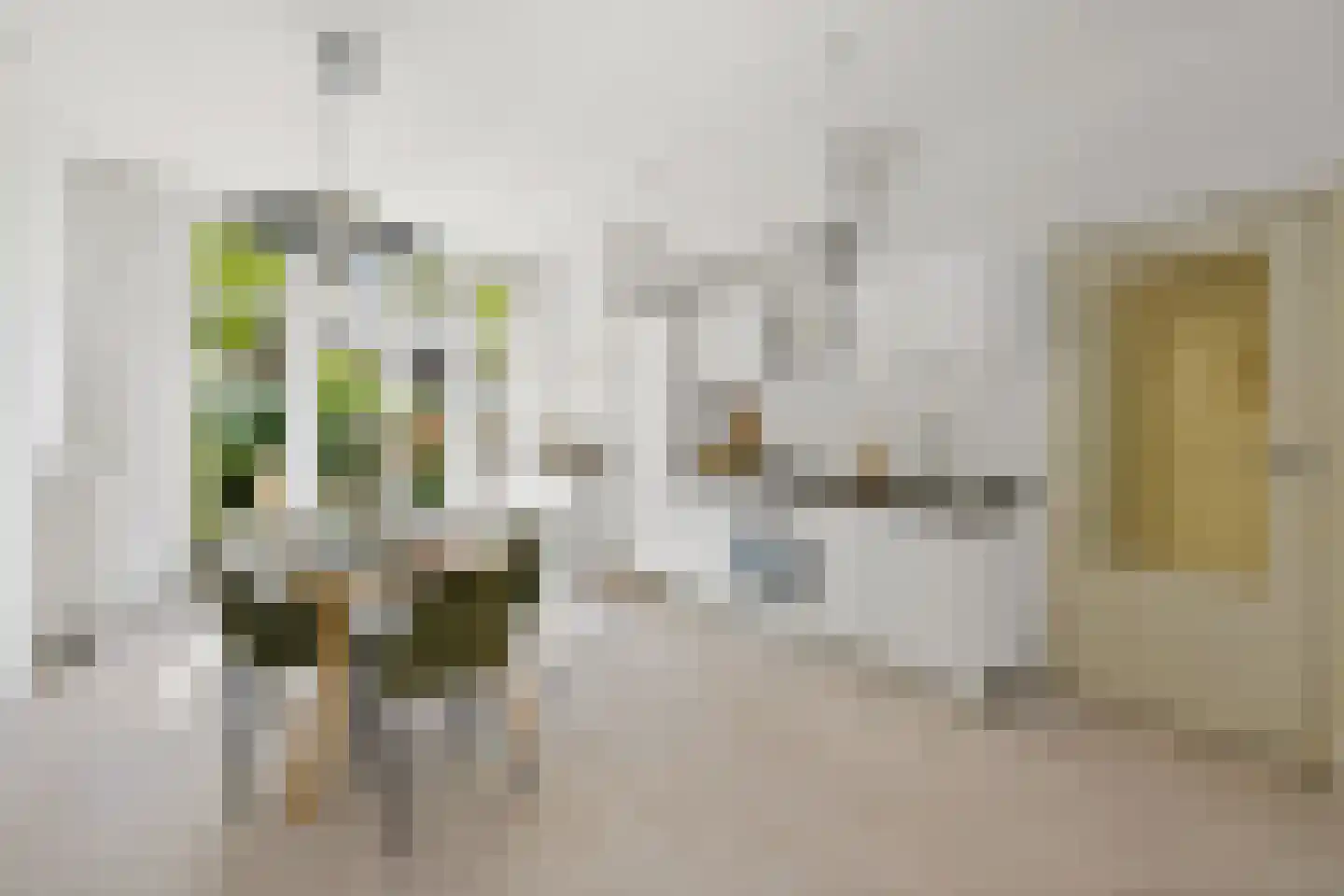 Hendrik Zwaardecroonstraat 157 Den Haag thumbnail 8