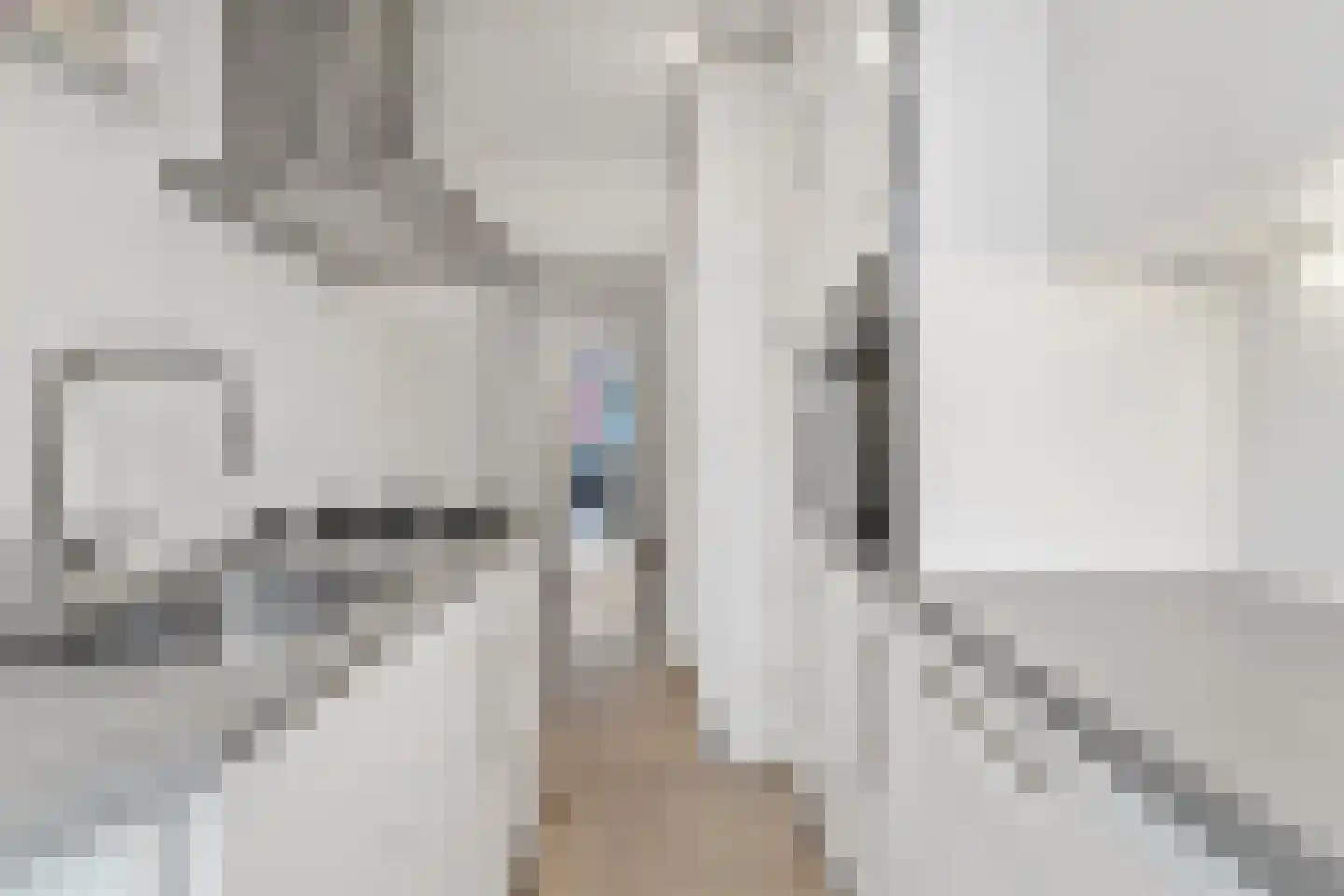 Hendrik Zwaardecroonstraat 196 Den Haag thumbnail 16